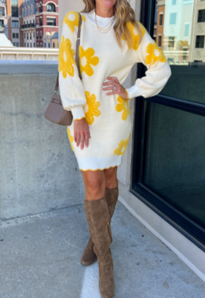 Adorable Sweater Dress